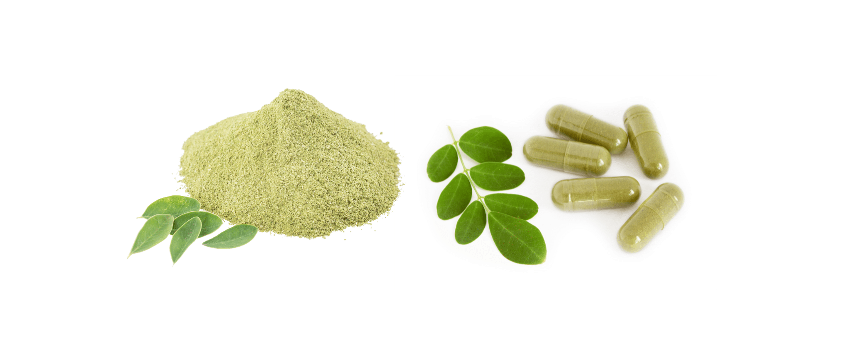 Moringa leaf powder and capsules